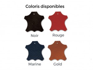 Porte Carte Bancaire Couleur NFC RFID Safe
